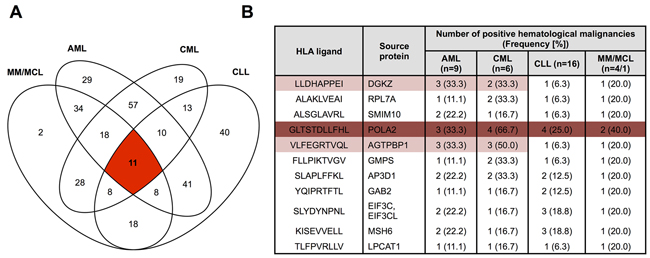 Presentation of &#x201C;cancer&#x201D;-exclusive HLA-A*02:01 ligands across different hematological malignancies.