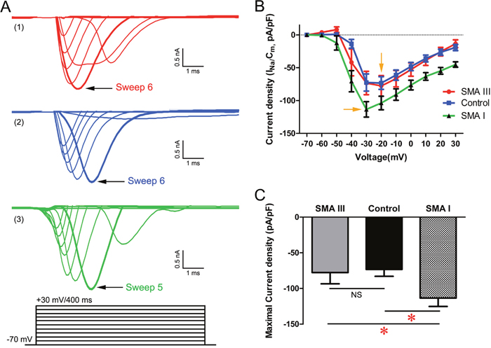 Excitability analysis of iPSC derived mature MNs by electrophysiology in voltage-clamp mode.