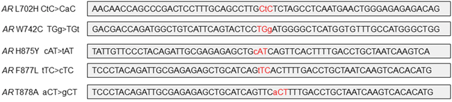 Genomic region surrounding loci of AR hotspot mutations.
