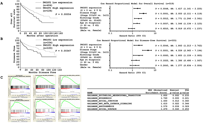 Kaplan-Meier survival plots for high and low TWIST1 expression groups in a TCGA cohort.