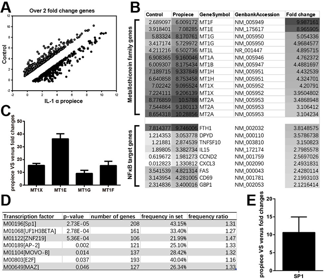 Microarray and real-time PCR analysis of the gene expressions in Jurkat-proIL-1&#x03B1; and control cells.