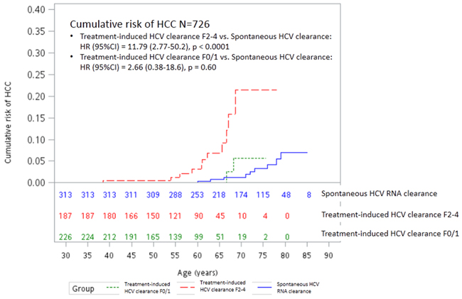 Cumulative risk of HCC between subjects with spontaneous and treatment-induced (Fibrosis score 0 or 1 versus Fibrosis score 2-4) HCV RNA clearance.