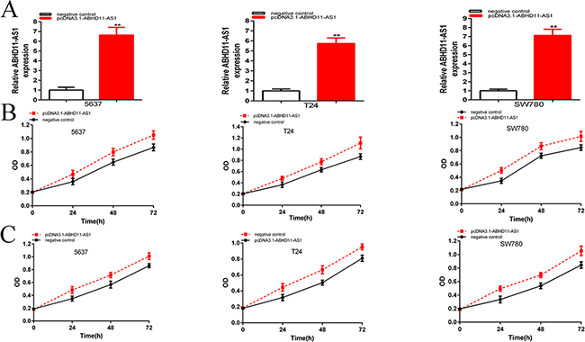 Figure 3: