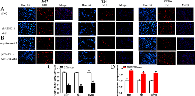 Figure 4: