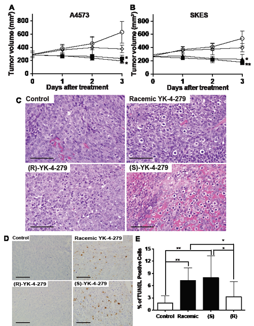 Racemic and (S)-YK-4-279 causes ES tumor regression via apoptosis.