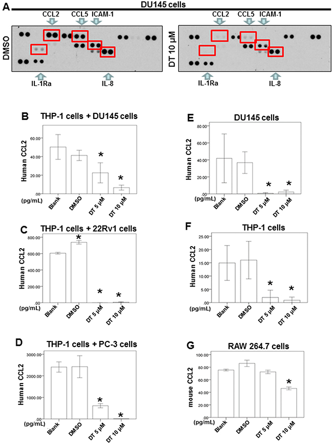 Effects of DT on the proteins secretion from prostate cancer cells and macrophages co-culture in vitro.