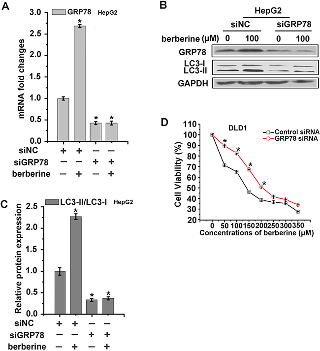 GRP78 played a dominant role in the modulation of autophagy in HepG2 and DLD1 cells