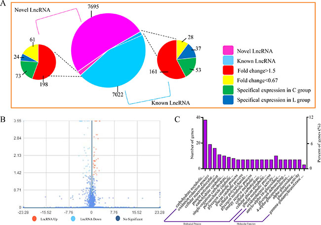 Expression of LncRNAs during Se deficiency process in broiler chick vein.