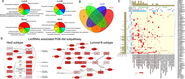 Identification of subpathways associated with risk lncRNAs in breast cancer subtypes.