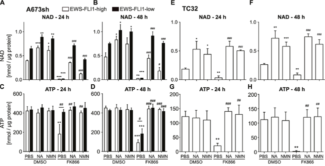 Supplementation with metabolites of the NAD salvage pathway can restore NAD and ATP levels after NAMPT inhibition.
