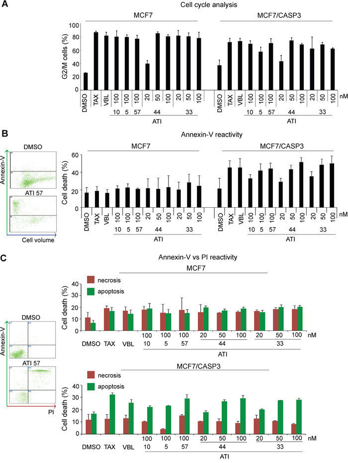 Caspase-3 requirement for non-necrotic cell death induction during mitotic arrest in MCF7 isogenic cell lines.