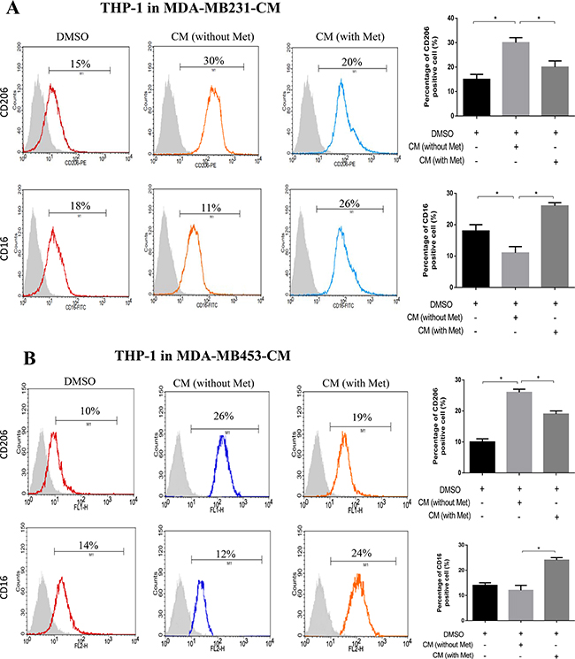 Metformin treated cancer cells polarized macrophage toward M1 phenotype.