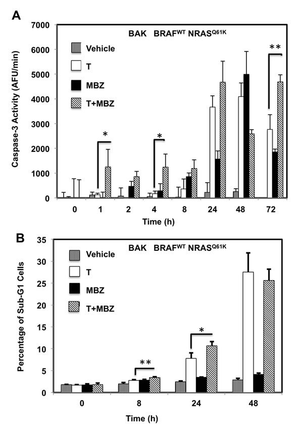 MBZ+trametinib induces apoptosis and decreases the percentage of melanoma cells in S phase of the cell cycle.