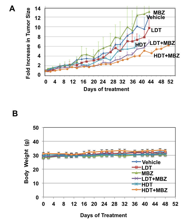 MBZ+trametinib significantly inhibit tumor growth and phosphorylation of MEK and ERK