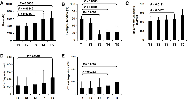 Immunosuppressive property of surgery-induced M-MDSCs and Treg.