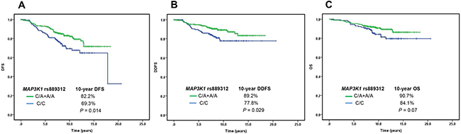 The association between single nucleotide polymorphisms of MAP3K1 rs889312 and prognosis of hormone receptor-positive early-stage breast cancer.