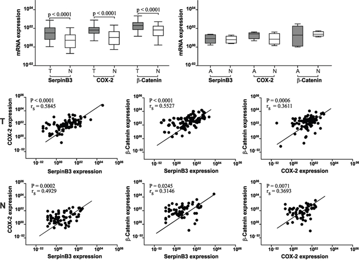 SerpinB3, COX-2 and &#x03B2;-Catenin mRNA expression levels in colorectal cancer tissue.