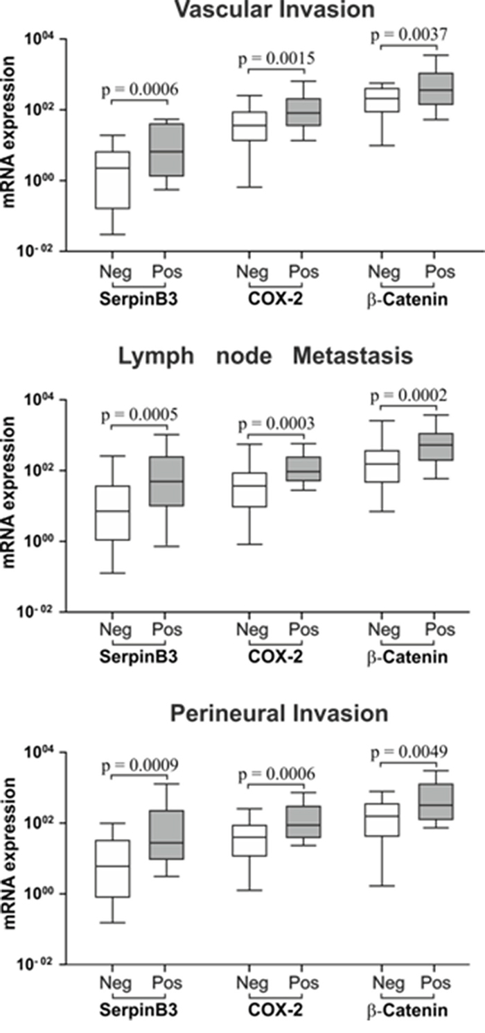 SerpinB3, COX-2 and &#x03B2;-Catenin expression in tumor specimens in relation with histological parameters of poor prognosis.