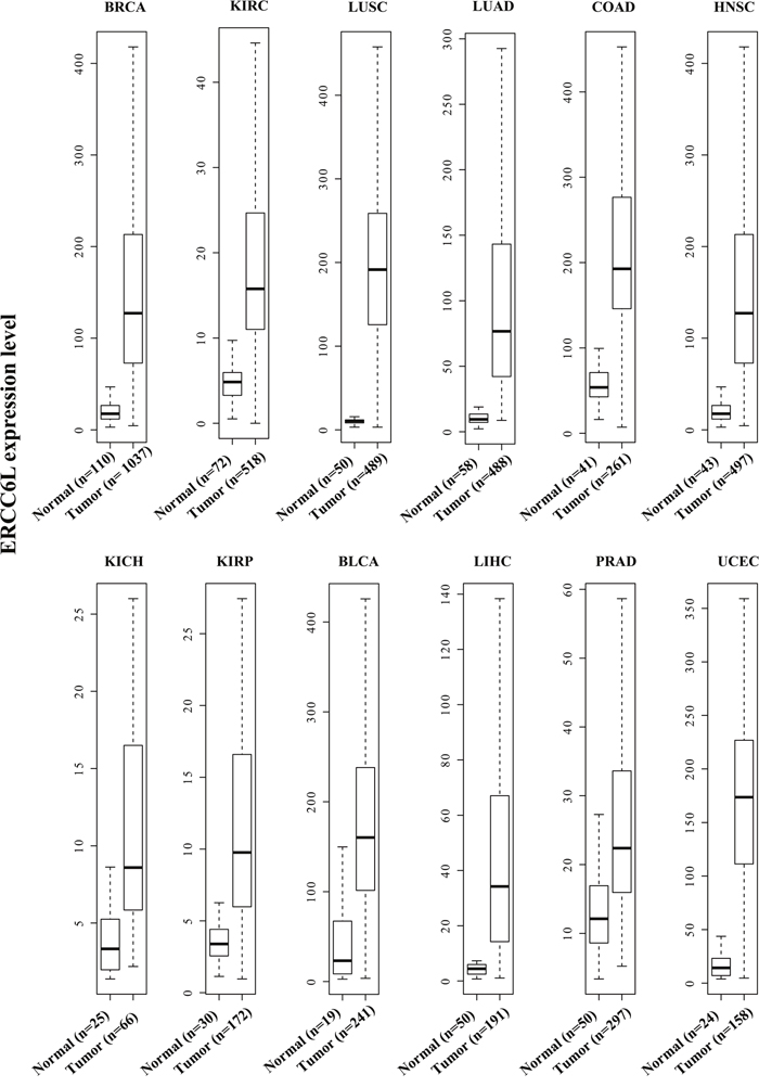 ERCC6L expression in 12 cancer types from The Cancer Genome Atlas (TCGA).