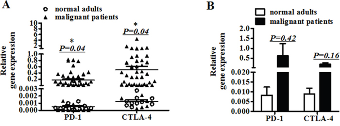 The gene expression of PD-1 and CTLA-4 in peripheral blood.