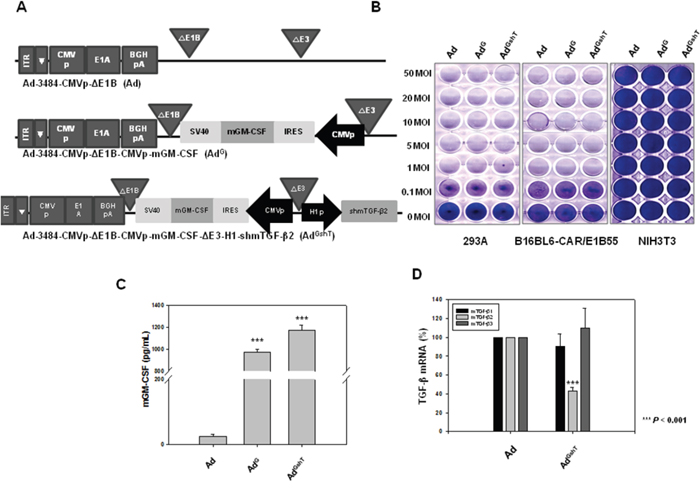 Recombinant adenoviruses expressing mGM-CSF and shmTGF-&#x03B2;2.