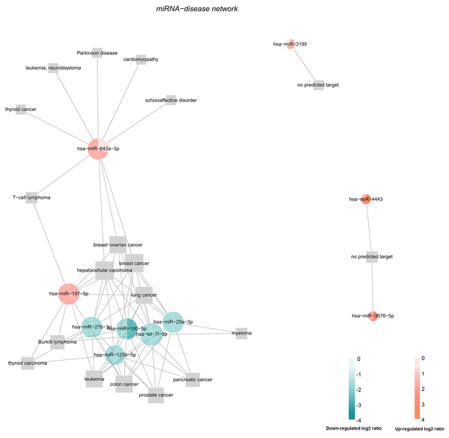 The miRNA-disease network.