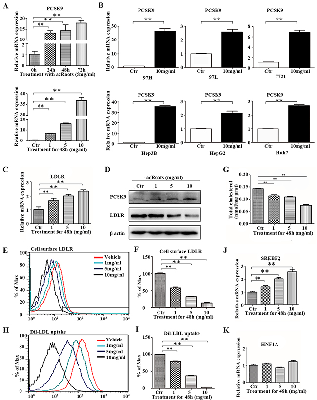 Alterations in PCSK9-related signaling pathways and cholesterol metabolism in LM3 cells in response to acRoots.