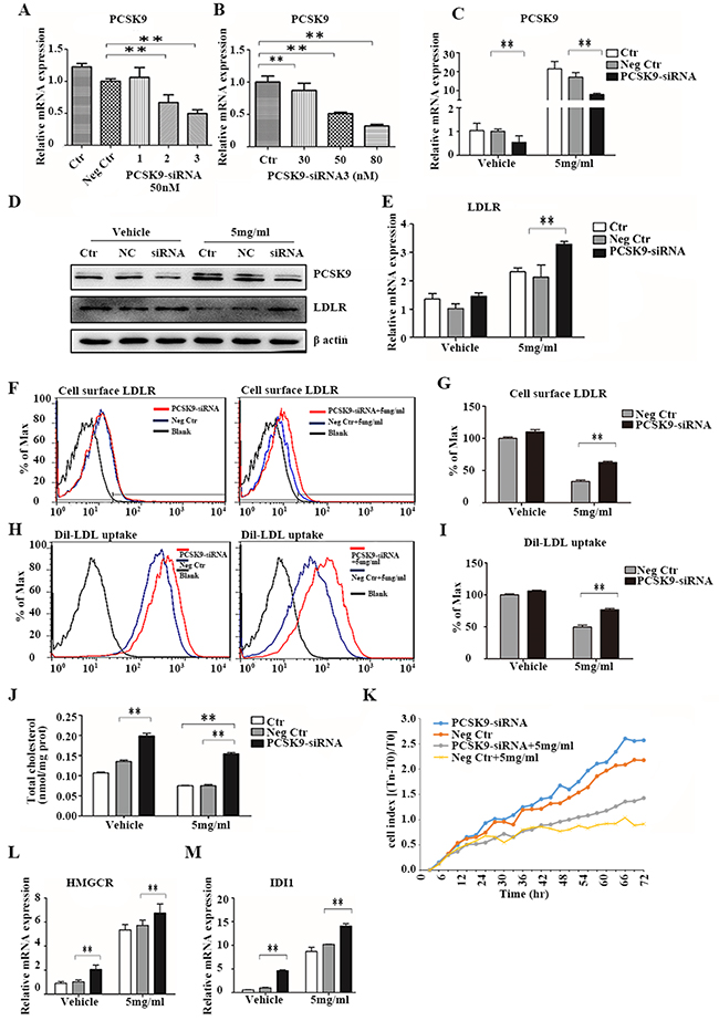 PCSK9 knockdown inhibits the effect of acRoots.