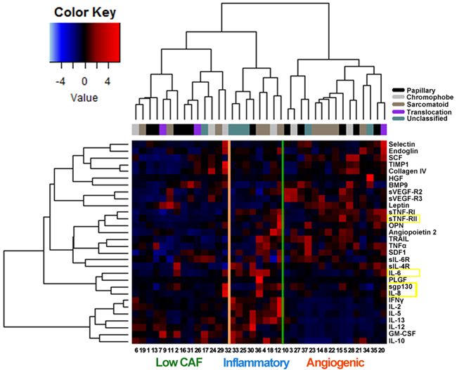 Unsupervised hierarchical cluster analysis (lower expression levels in blue, higher levels in red) of circulating cytokine and angiogenic factors (CAFs) in 37 patients with advanced non-clear cell renal cell carcinoma prior to therapy with either everolimus or sunitinib.