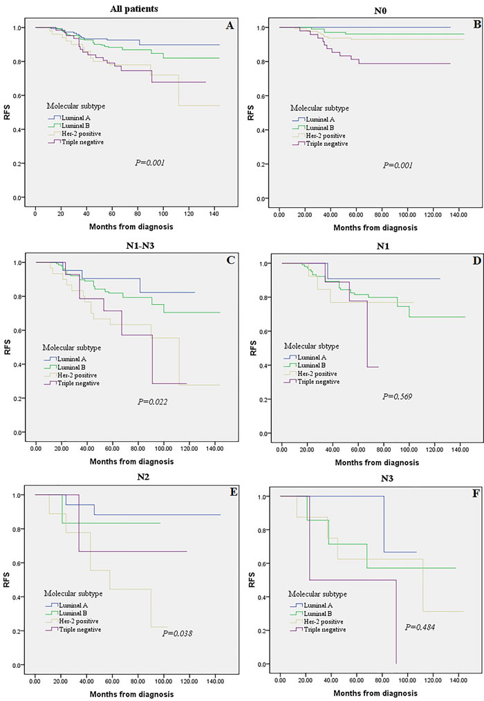 Kaplan-Meier analysis for recurrence-free survival according to molecular subtype.