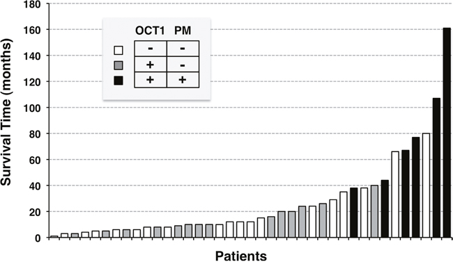 Waterfall plot of the clinical response to sorafenib treatment as determined by overall survival after starting systemic pharmacological treatment with sorafenib.