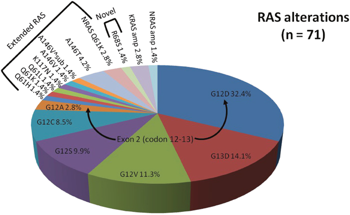 Proportion of RAS alterations identified by comprehensive genomic profiling.