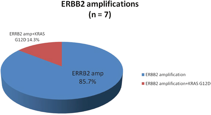 Proportion of ERBB2 amplifications identified by comprehensive genomic profiling.