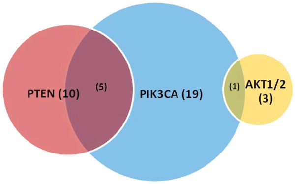 Proportion of PIK3CA, PTEN, AKT1/2 mutations identified by comprehensive genomic profiling with overlap.