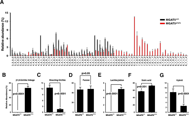 Comparison of N-glycan compositions for wildtype and the MGAT5 knock-out HT-29 cells.