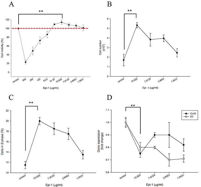 Epinecidin-1 (Epi-1) increases keratinocyte proliferation.