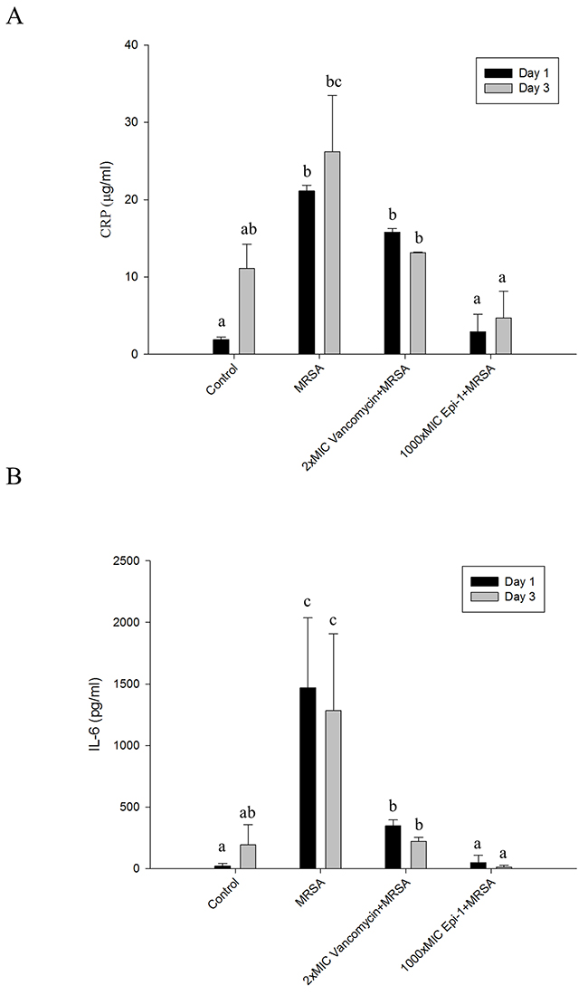 Epi-1 regulates the induction of C-reactive protein (CRP) and pro-inflammatory cytokine IL-6 expression associated with injury-mediated inflammation and sepsis.