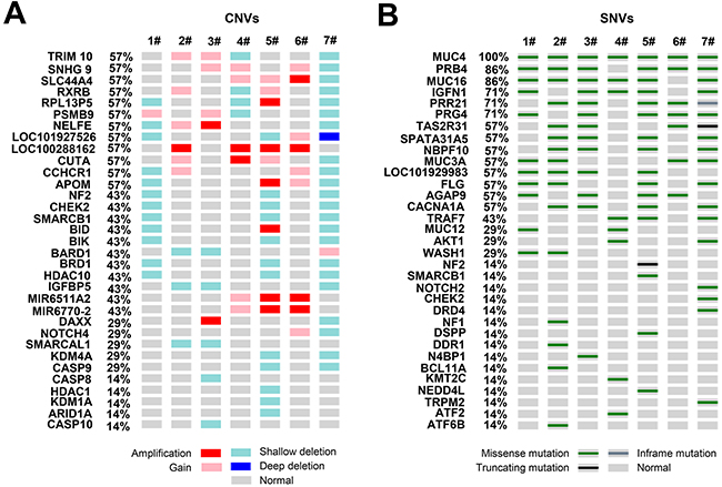 Recurrently altered genes and selected candidate mutations.