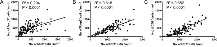 Correlation between T cell subset densities.