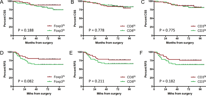 Pre-CRT T cell density is not associated with long-term survival.