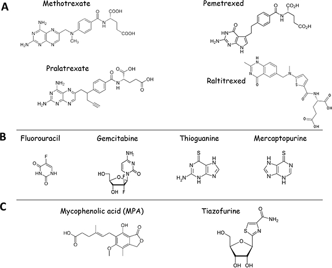 Structures of clinically-approved inhibitors of one-carbon metabolism and nucleotide biosynthesis used as anticancer therapeutics.