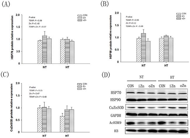 Effects of maternal environmental temperature and dietary Zn on protein expressions in the embryonic liver.