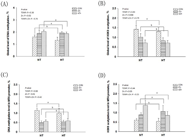 Effects of maternal environmental temperature and dietary Zn on DNA methylation and H3K9 acetylation in the embryonic liver.