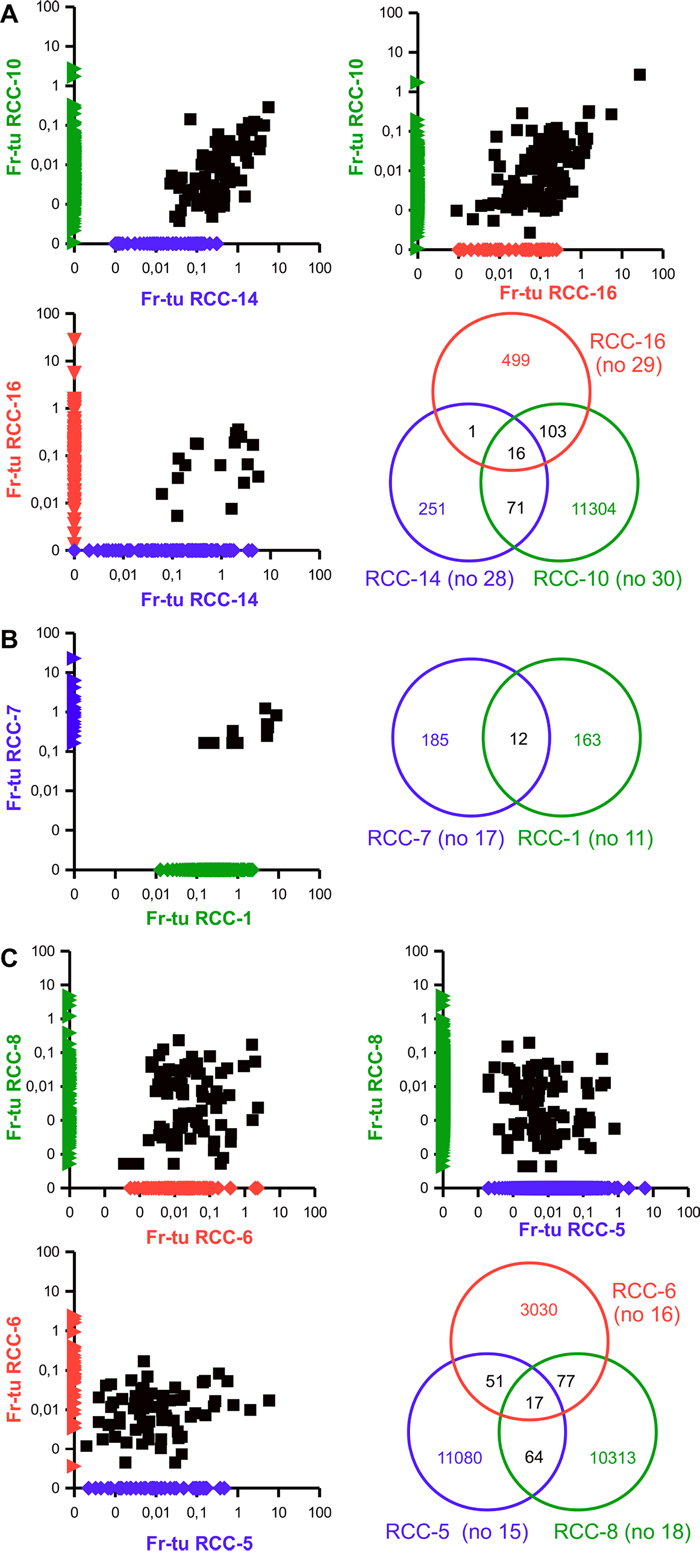 Existence of groups of shared clonotypes among different RCC patients.