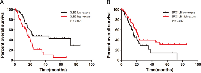 Overall survival curves based on GJB2 and ERO1LB expression.