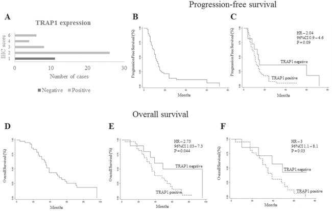 TRAP1 positive expression predicts poor prognosis in metastatic colorectal carcinomas.