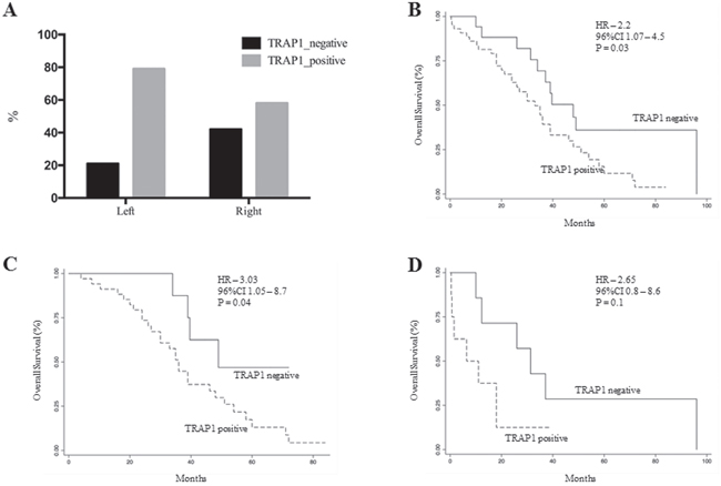 TRAP1 expression and its prognostic value are prevalent in left colon cancers.