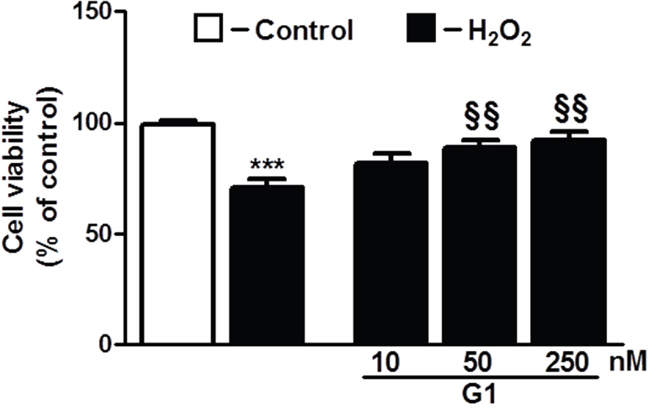Dose-dependent effect of G1 on cell survival in response to oxidative stress.