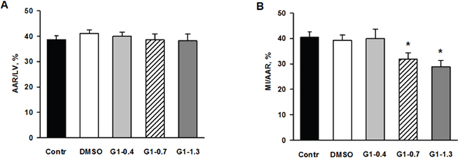 Effects of G1 on myocardial infarct size and area at risk in rats in vivo.