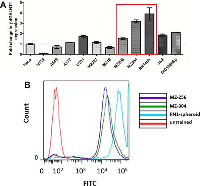 GD2 expression in GBM and non-GBM cell lines.